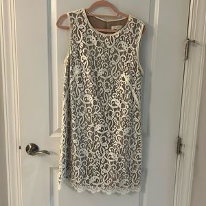 Loft lace shift dress with nude underlay size 12